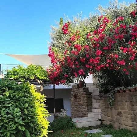Studio Vita Daire Fjesa