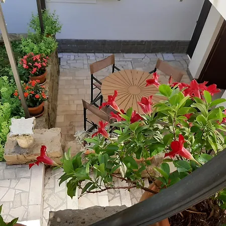 Studio Vita Apartment